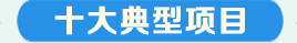 十大典型項目