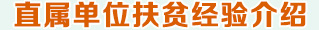 直屬單位扶貧經(jīng)驗介紹
