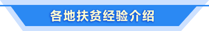 各?。ㄊ校┓鲐毥?jīng)驗(yàn)介紹