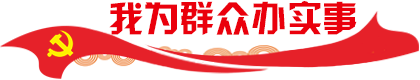我為群眾辦實事