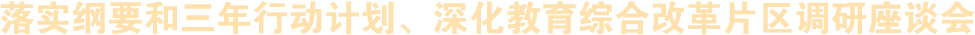 落實(shí)綱要和三年行動(dòng)計(jì)劃、深化教育綜合改革片區(qū)調(diào)研座談會(huì)
