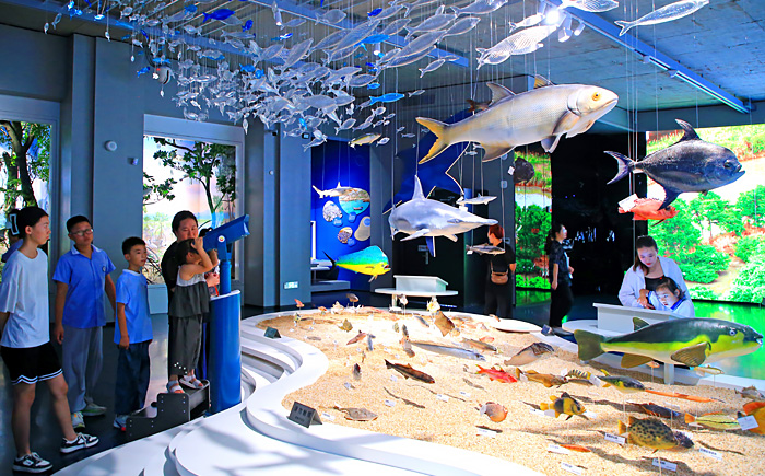 “花式”過(guò)暑假