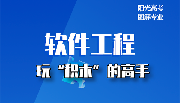 軟件工程：玩“積木”的高手