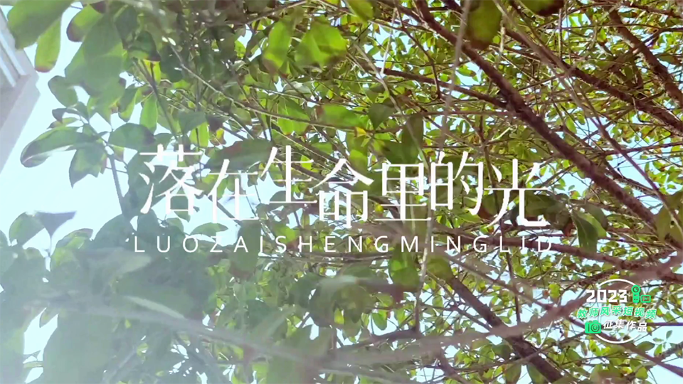 落在生命里的一束光