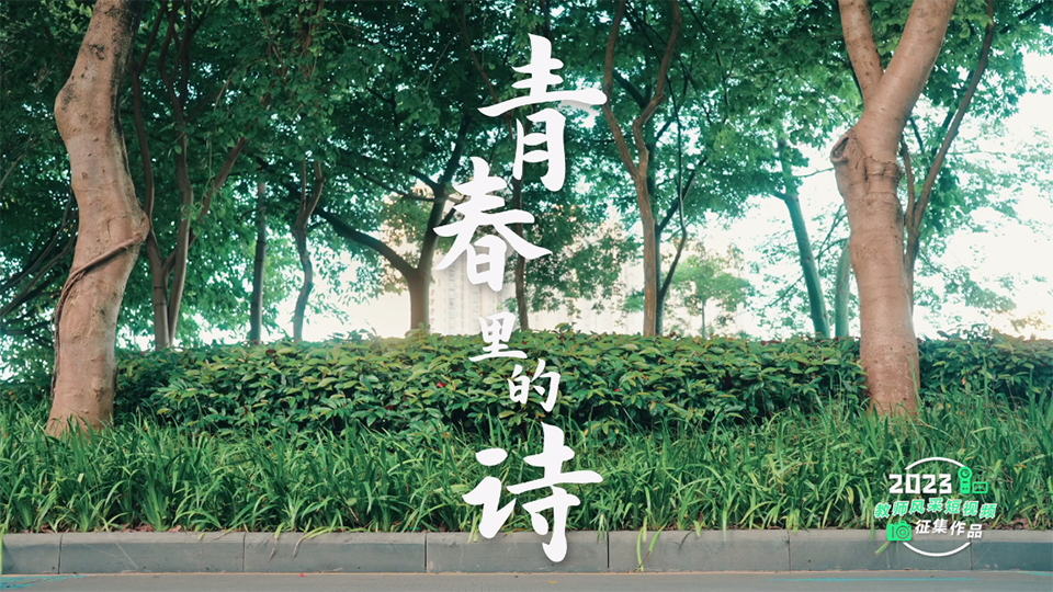 青春里的詩(shī)