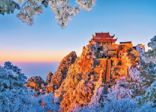 點(diǎn)擊查看大圖