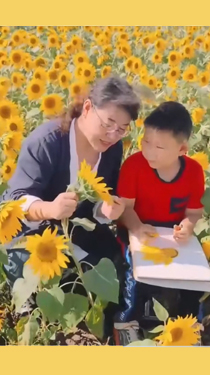 她帶著鄉(xiāng)村孩子們，走過“美”的四季