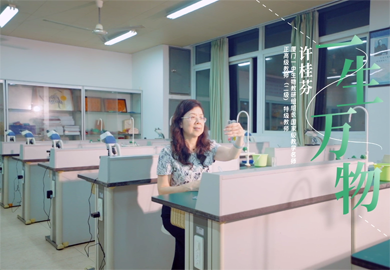 一生萬(wàn)物，追光前行