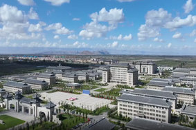 風(fēng)好正是揚帆時 不待揚鞭自奮蹄