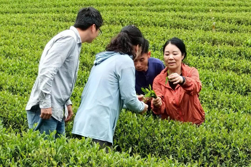 扛鋤頭，下田地！她帶領(lǐng)學(xué)生把科學(xué)技術(shù)送到田間地頭的“最后一公里”