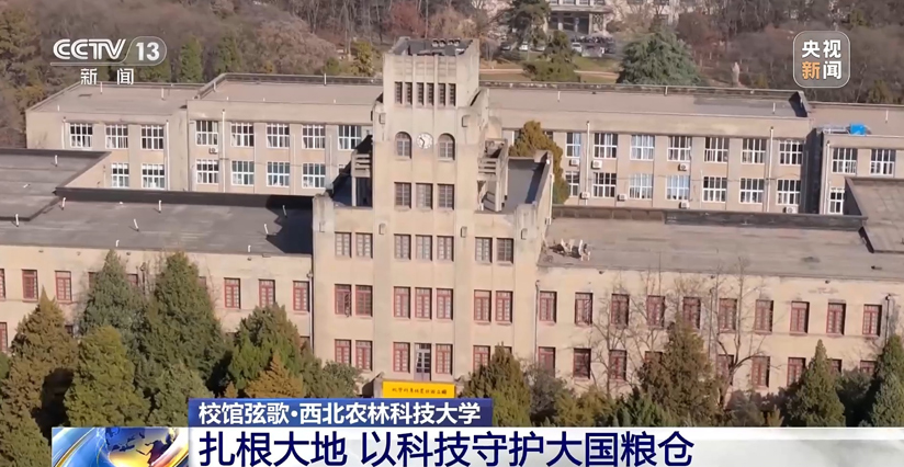 扎根大地 西北農(nóng)林科技大學(xué)以科技守護(hù)大國糧倉