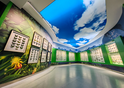 西北農(nóng)林科技大學(xué)昆蟲博物館