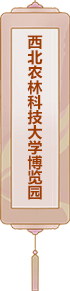 西北農(nóng)林科技大學(xué)博覽園