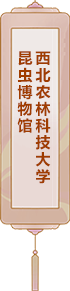 西北農(nóng)林科技大學(xué)昆蟲博物館