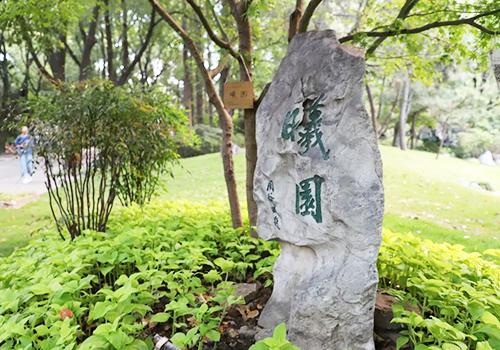 復(fù)旦大學(xué)