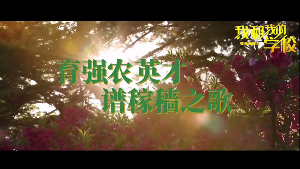 中國農業(yè)大學